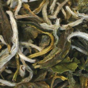 kép_2024-03-15_215926114