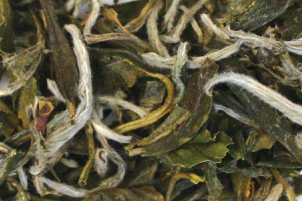 kép_2024-03-15_215926114