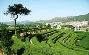 kép_2024-06-20_155158135