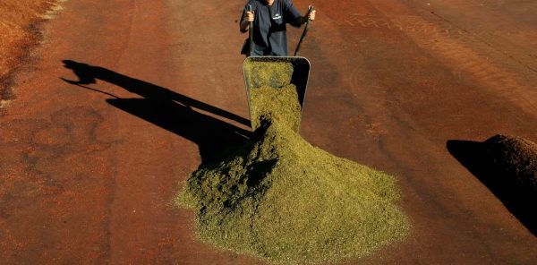 kép_2024-03-28_174504226