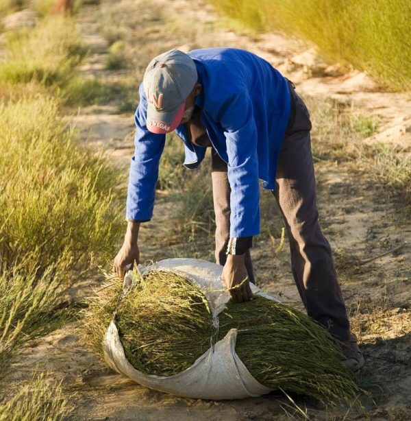 kép_2024-03-31_213908484