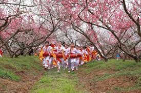 Barackvirág Fesztivál, Kína