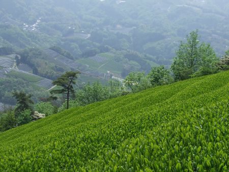 kép_2024-03-13_125810795