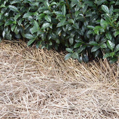 kép_2024-03-13_200457549