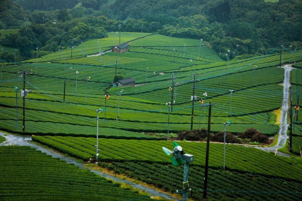 kép_2024-03-13_200627512