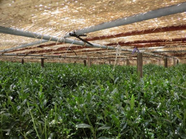 kép_2024-03-13_201103981