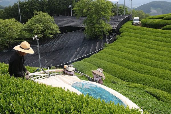 kép_2024-03-14_080355641