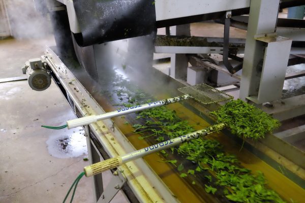 kép_2024-03-14_081617737