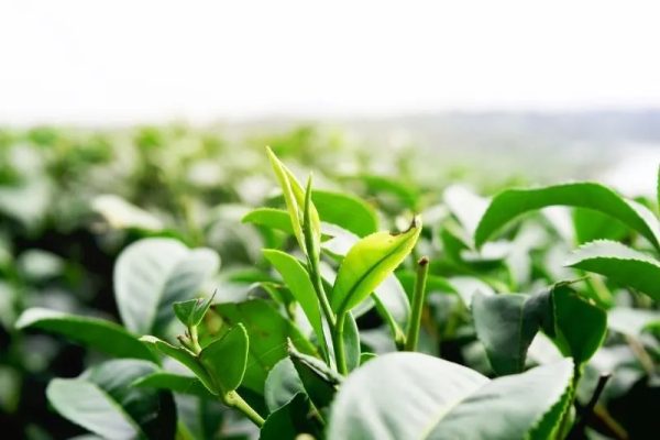 kép_2024-03-14_082001564