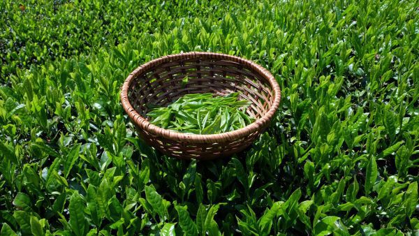 kép_2024-03-14_075239523