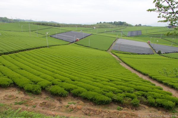 kép_2024-03-13_131503231