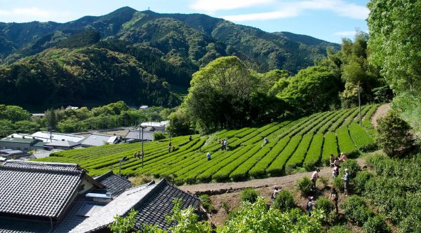 kép_2024-03-13_131708455