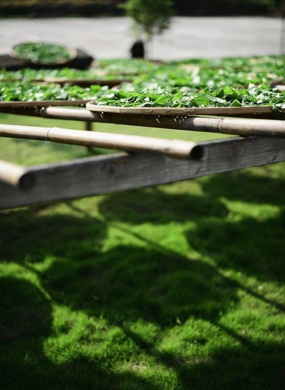 0fe7c637a6082a28396a9f24b582a1e1