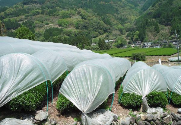 48404579_330332617694737_112517122269118464_n