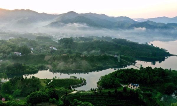 5ccfb55ea3104842e4ac0f00