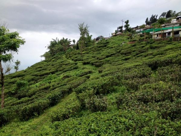 5e46692f3c6f9108b5aa3f71_1581672751308