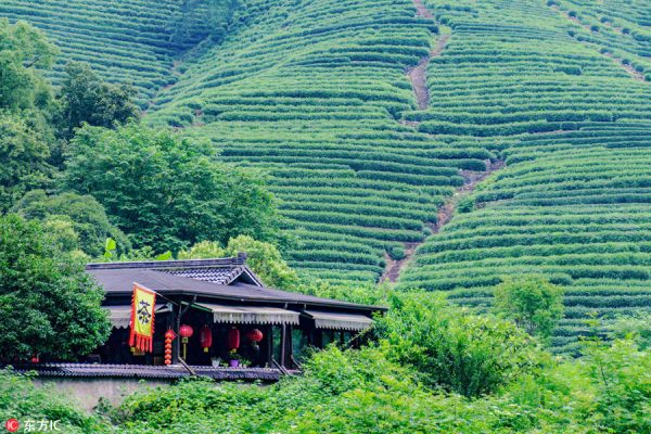 60474623a31024adbdb9ce25