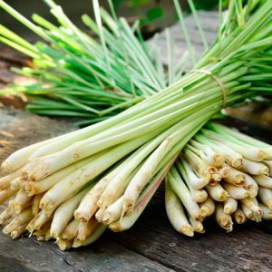 Lemongrass