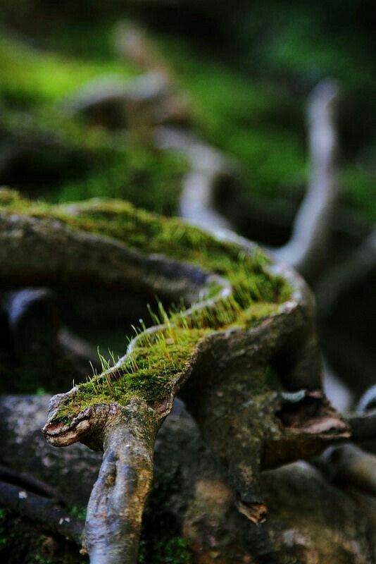 d77b02e9674ec7569d4eda59f28b3641