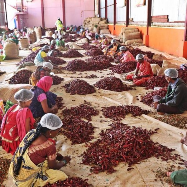 devanur-deluxe-dry-red-chilli