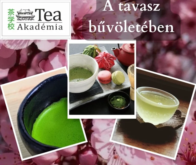 A tavasz bűvöletében