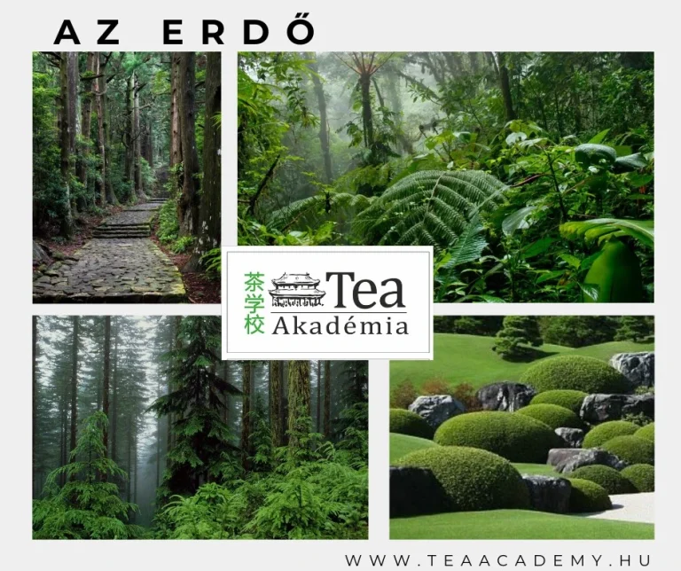 Költészet-világnap