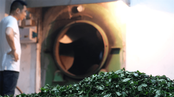 kép_2024-08-08_121621735