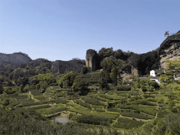 kép_2024-08-08_121639428