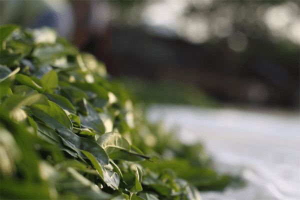 kép_2024-08-08_121658227