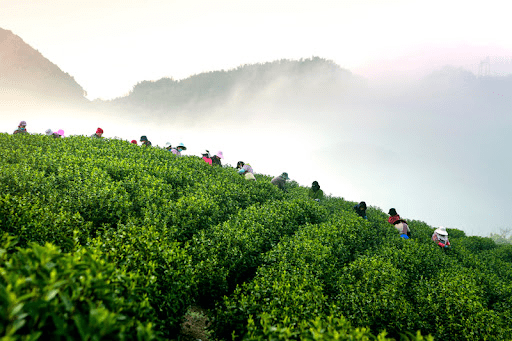 kép_2024-08-08_134724616