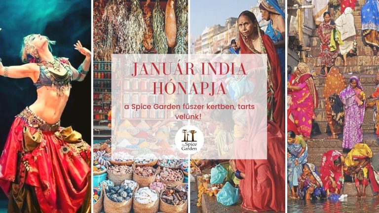 kép_2024-03-16_192949141 India fűszerek