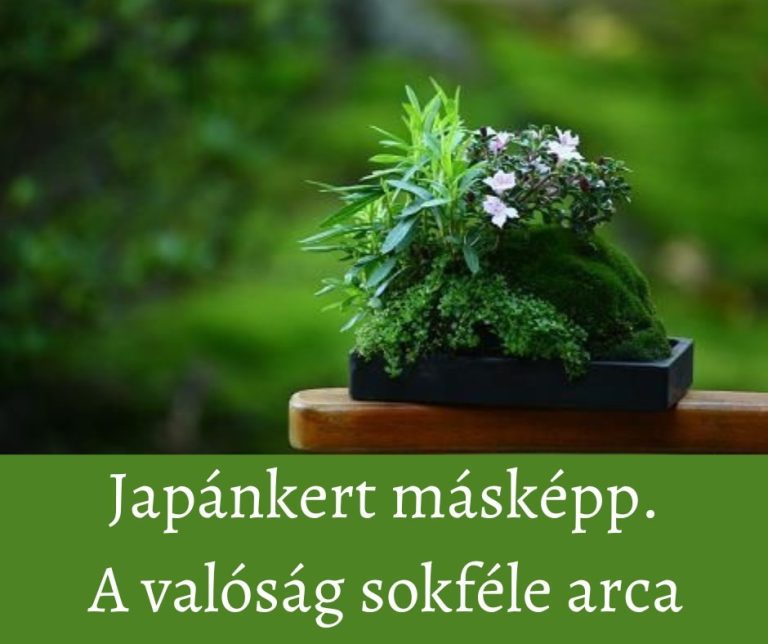 kép_2024-03-16_192949141 India fűszerek