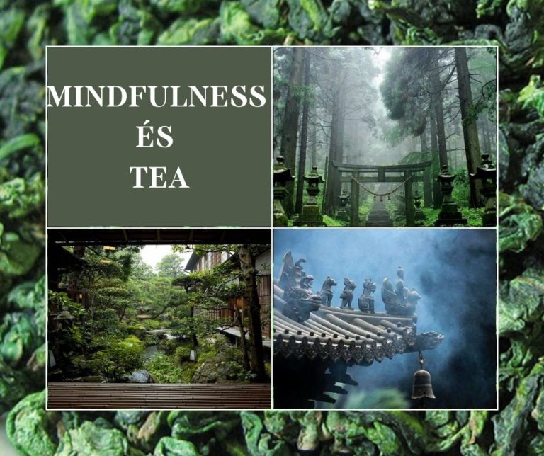 kép_2024-03-16_192949141 India fűszerek