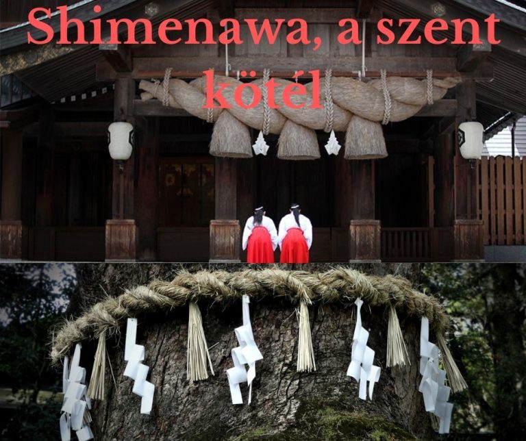 kép_2024-03-16_192949141 India fűszerek