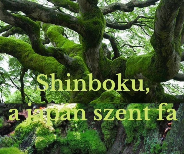 kép_2024-03-16_192949141 India fűszerek