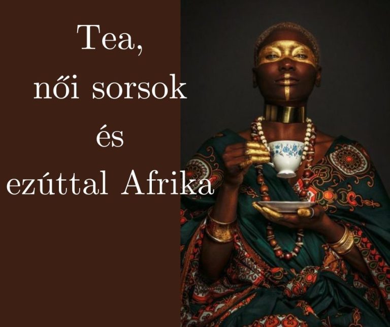 kép_2024-03-16_192949141 India fűszerek