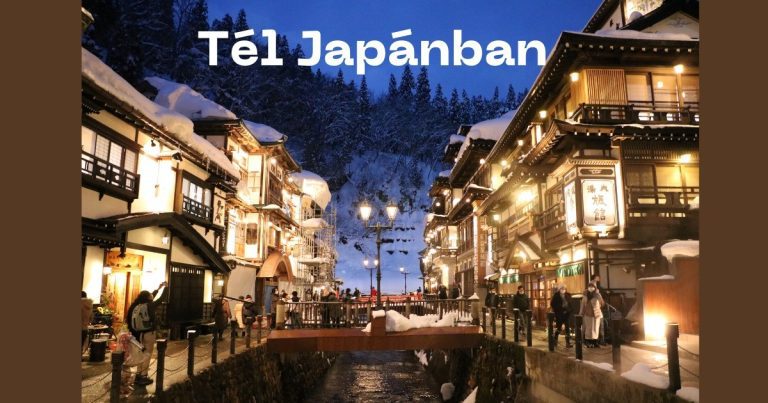 kép_2024-03-16_192949141 India fűszerek