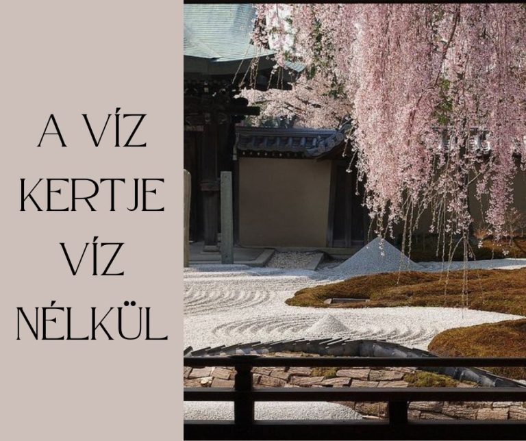 kép_2024-03-16_192949141 India fűszerek