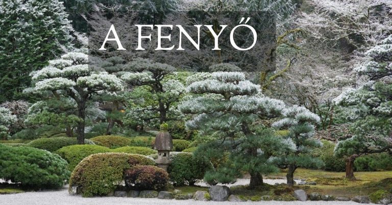 kép_2024-03-16_192949141 India fűszerek