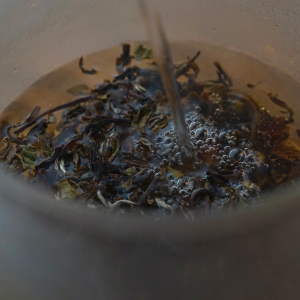 kép_2024-09-19_084904938