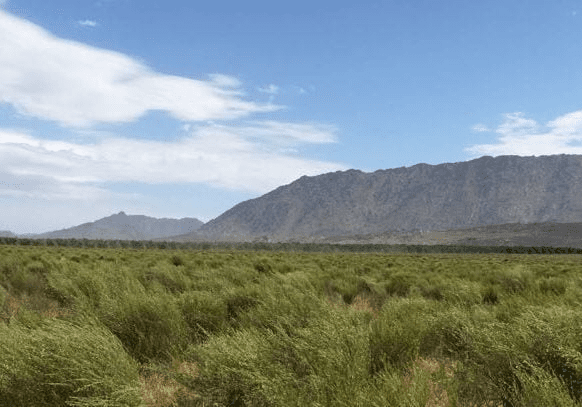 kép_2024-11-11_142439213