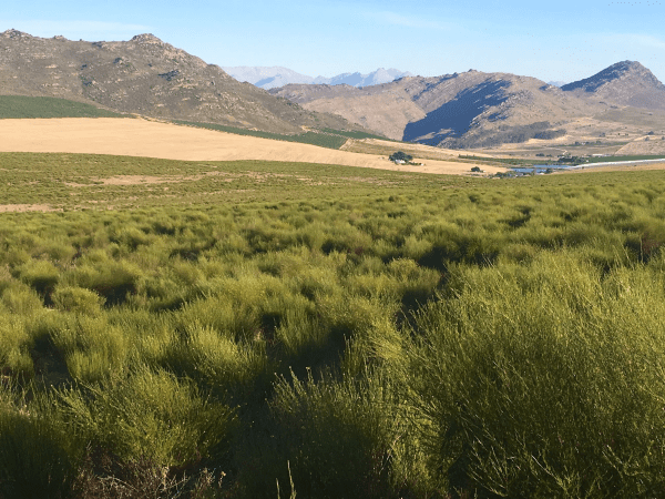 kép_2024-11-11_142503017