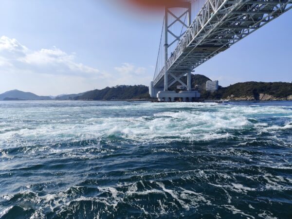IMG_20260202_124459