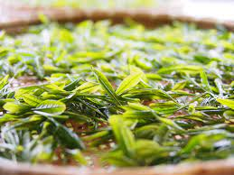 kép_2024-12-09_210158654