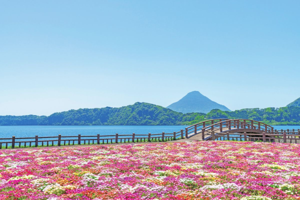 kép_2024-12-10_091726302