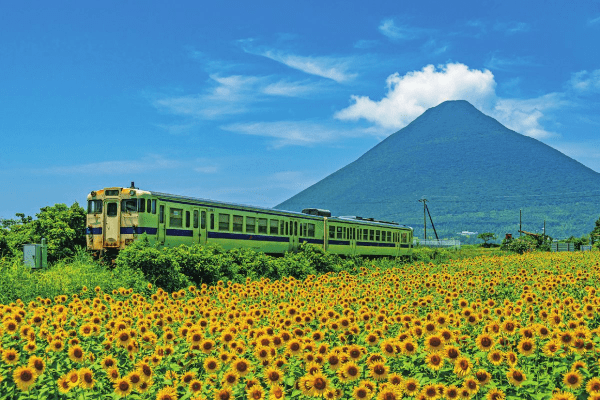 kép_2024-12-10_091750179