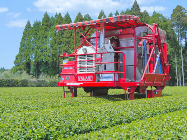 kép_2024-12-11_221152696