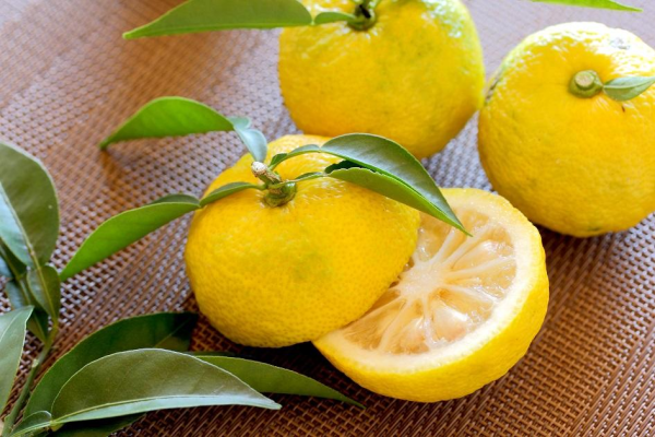 kép_2025-01-03_212942036