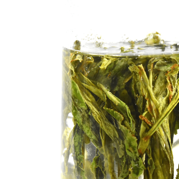 kép_2025-01-19_212821258