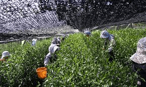 kép_2025-02-01_201414799